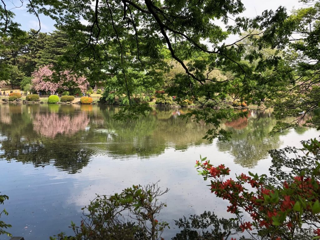 En plein coeur de Tokyo, le parc Shinjuku.